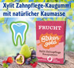 Birkengold   Xylit-Kaugummi Frucht_small_zusatz