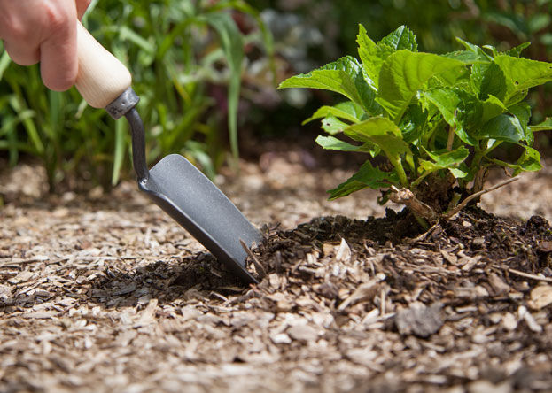 Bild f�r Krumpholz�