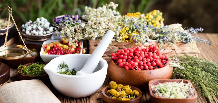 Medizin & Gesundheit