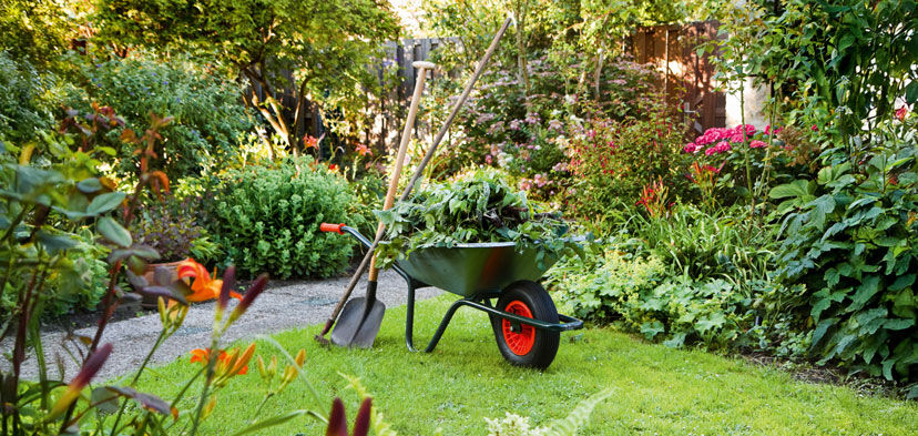 Garten
