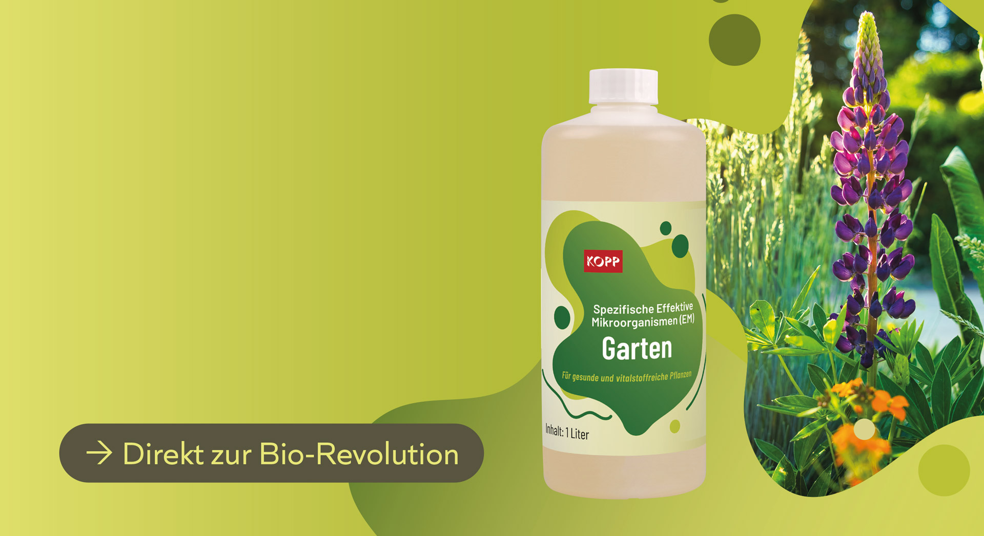 Bild Kopp Geschenke Dektop 01b