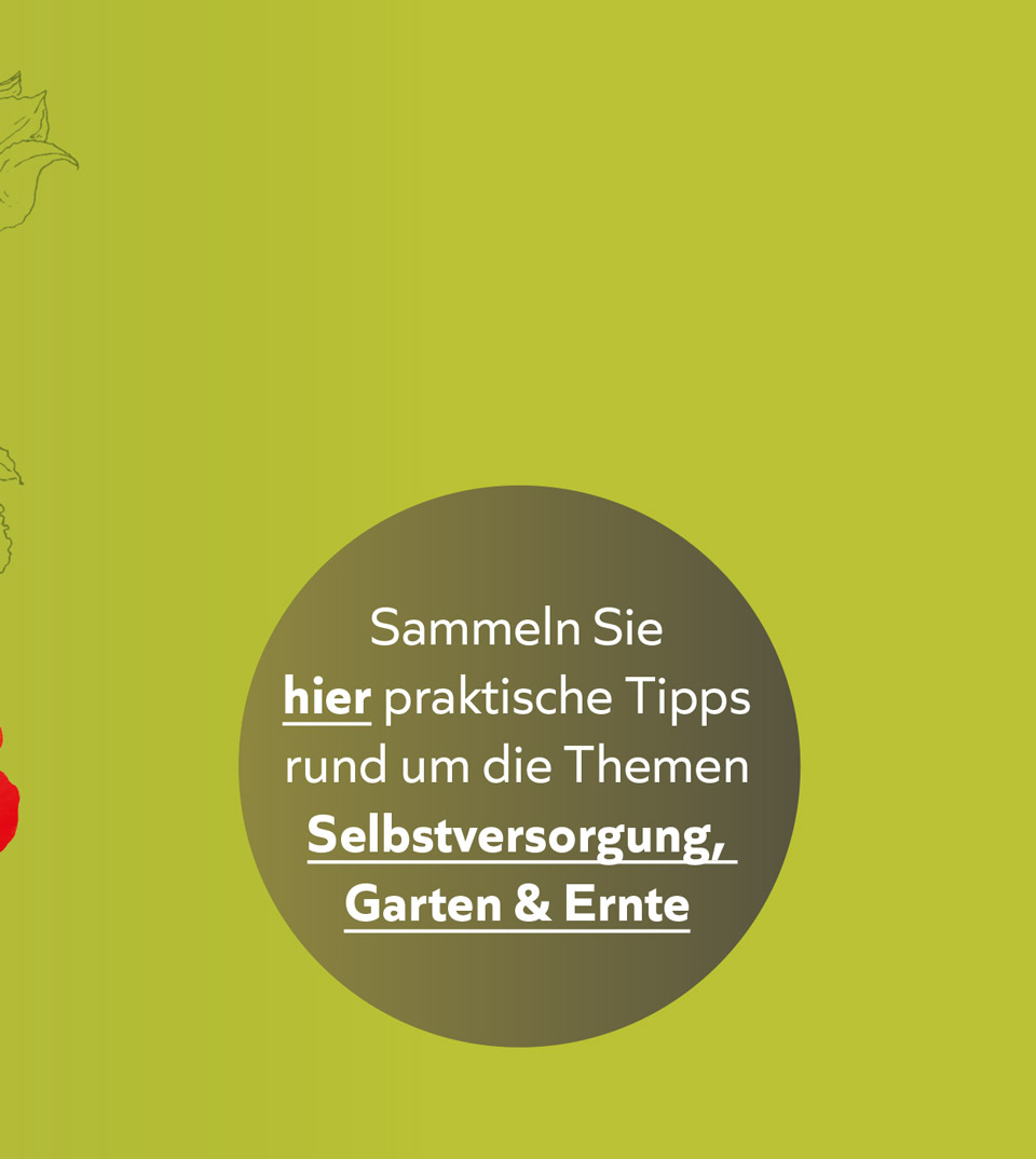 Bild Kopp Geschenke Dektop 01b