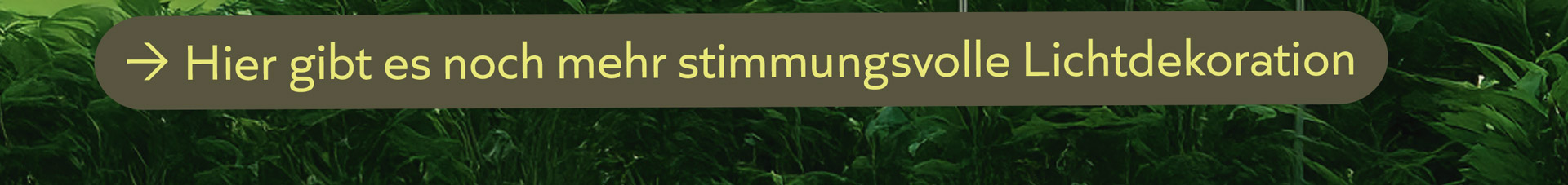 Bild Kopp Geschenke Dektop 01a