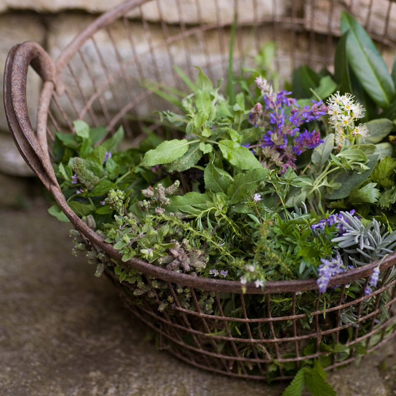 Allguer Heilkruter-Kerzen Produkt Bild 11