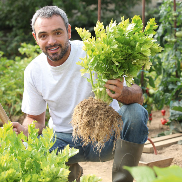 Bio-Selleriesaft Produkt Bild 6