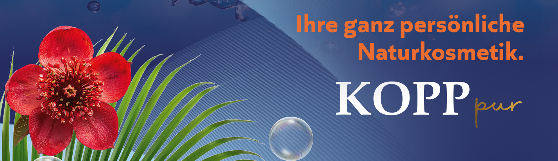 Bild Kopp Fit ins neue Jahr Desktop 12