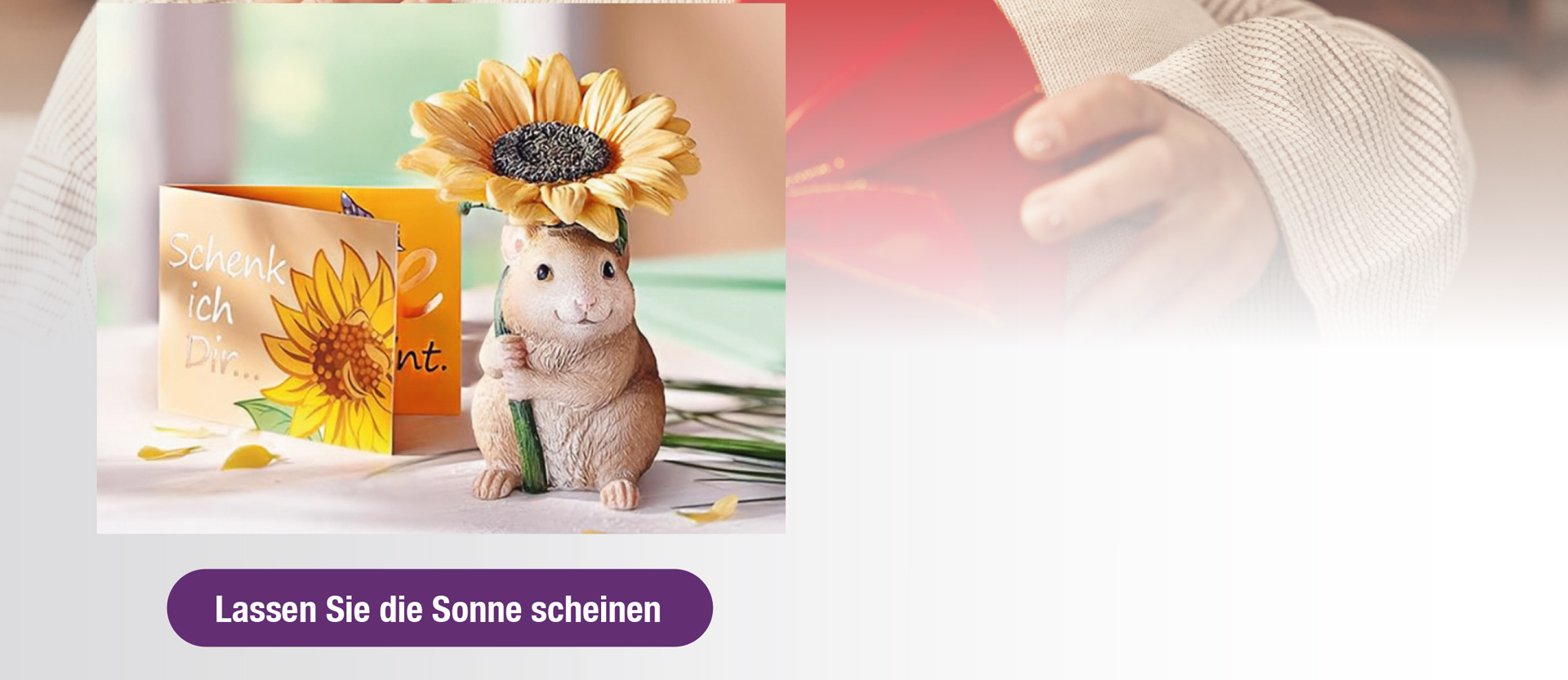 Bild Kopp Geschenke Dektop 17