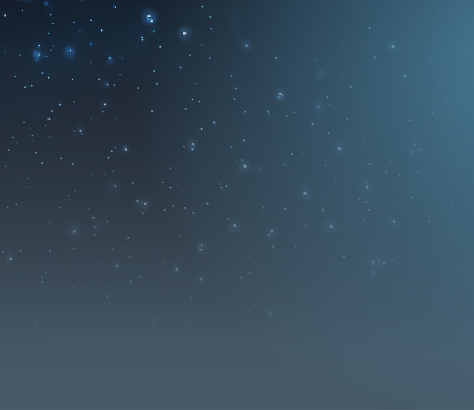 Bild Kopp pur Oele Mobile 01