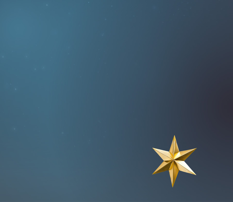 Bild Kopp pur Oele Mobile 02