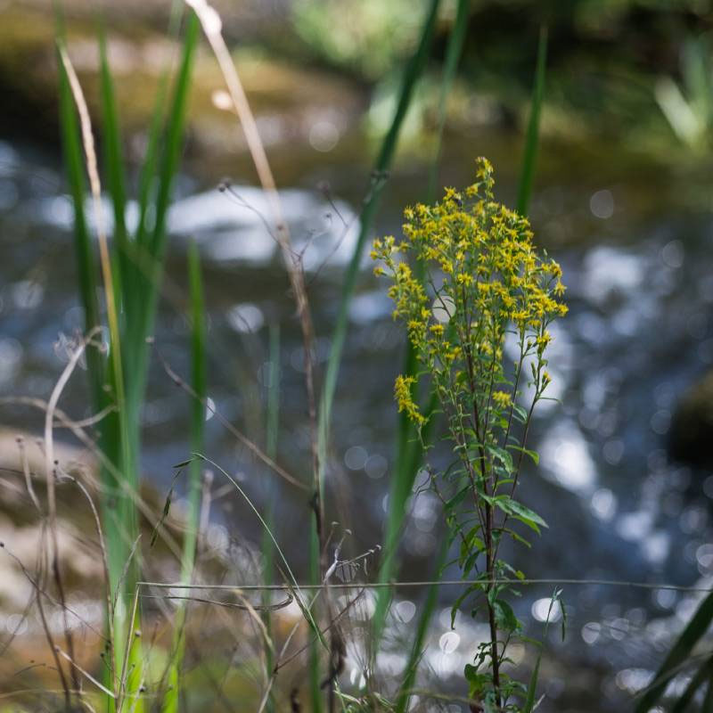 Tactical Foodpack Produkt Bild 11