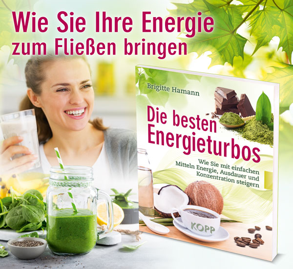 Die besten Energieturbos