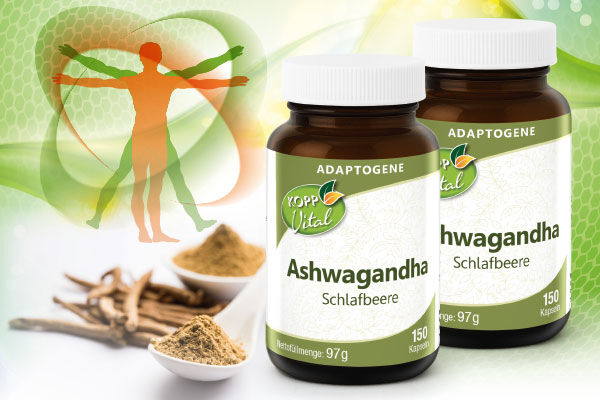 Kopp Vital� Adaptogen Ashwagandha Kapseln